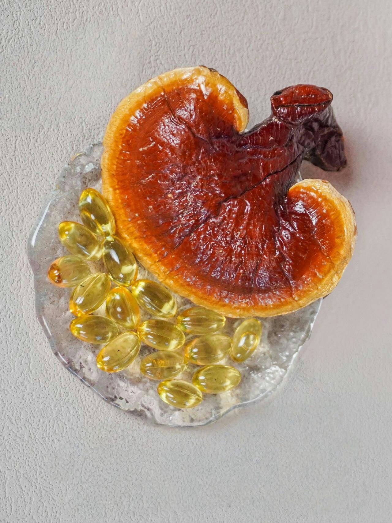 100% Shell Broken Reishi Spore oil softgels 500mg ,40% Triterpenes
