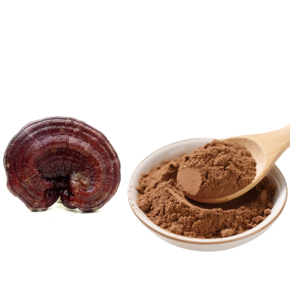Ganoderma Lucidum Powder & Reishi Pure Powder