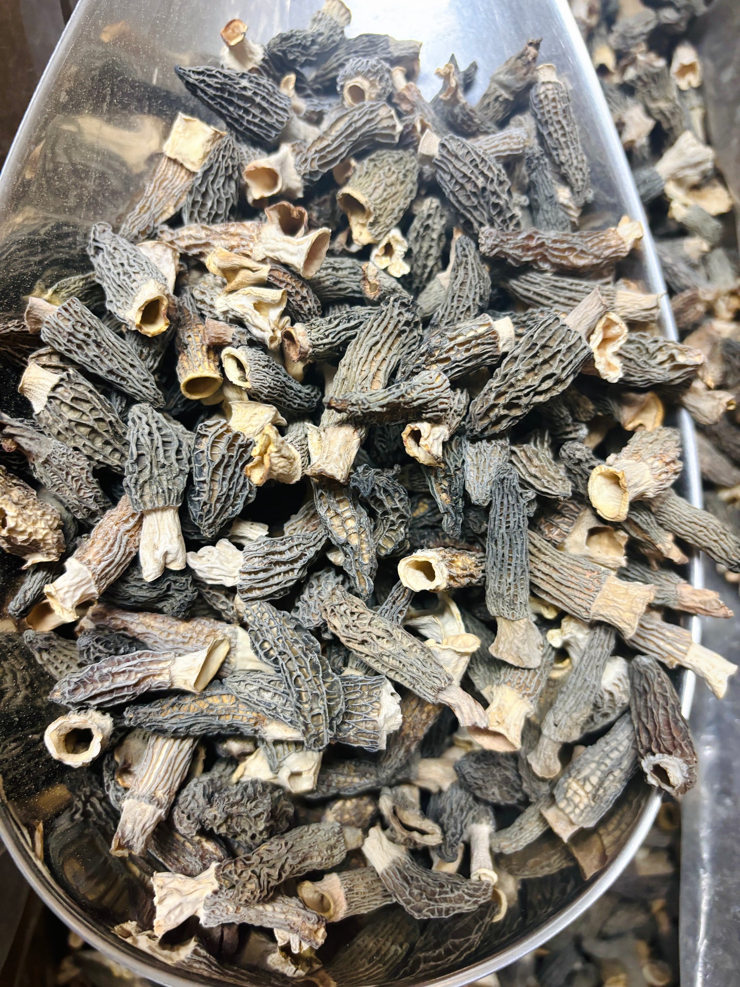 1-3 cm Natural Dried Baby Morel Mushroom , Dried Morchella Conica