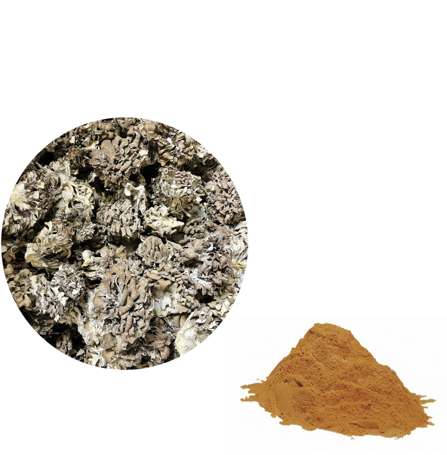 Maitake Mushroom Extract Powder 30% Polysaccharides