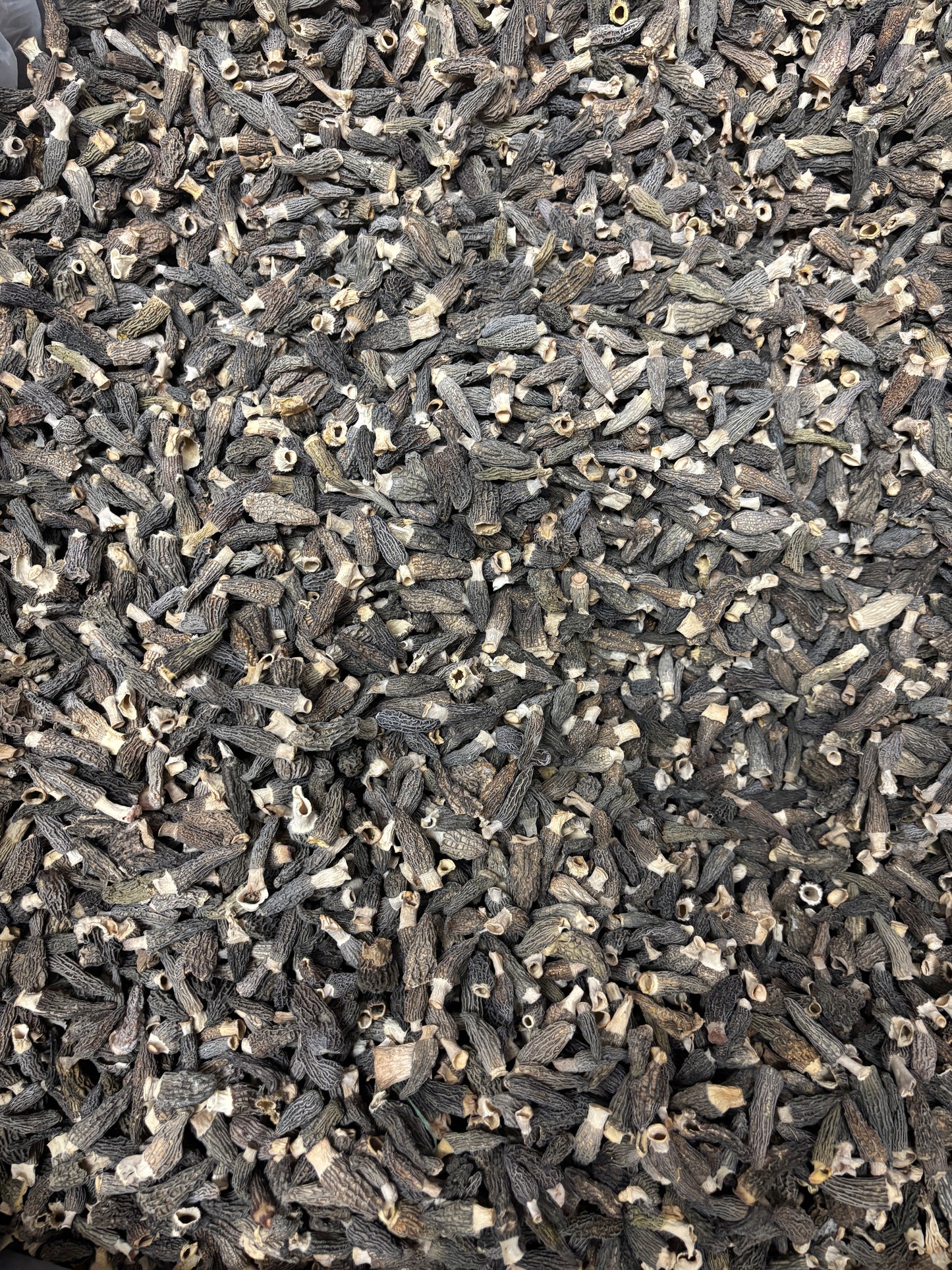 1-3 cm Natural Dried Baby Morel Mushroom , Dried Morchella Conica