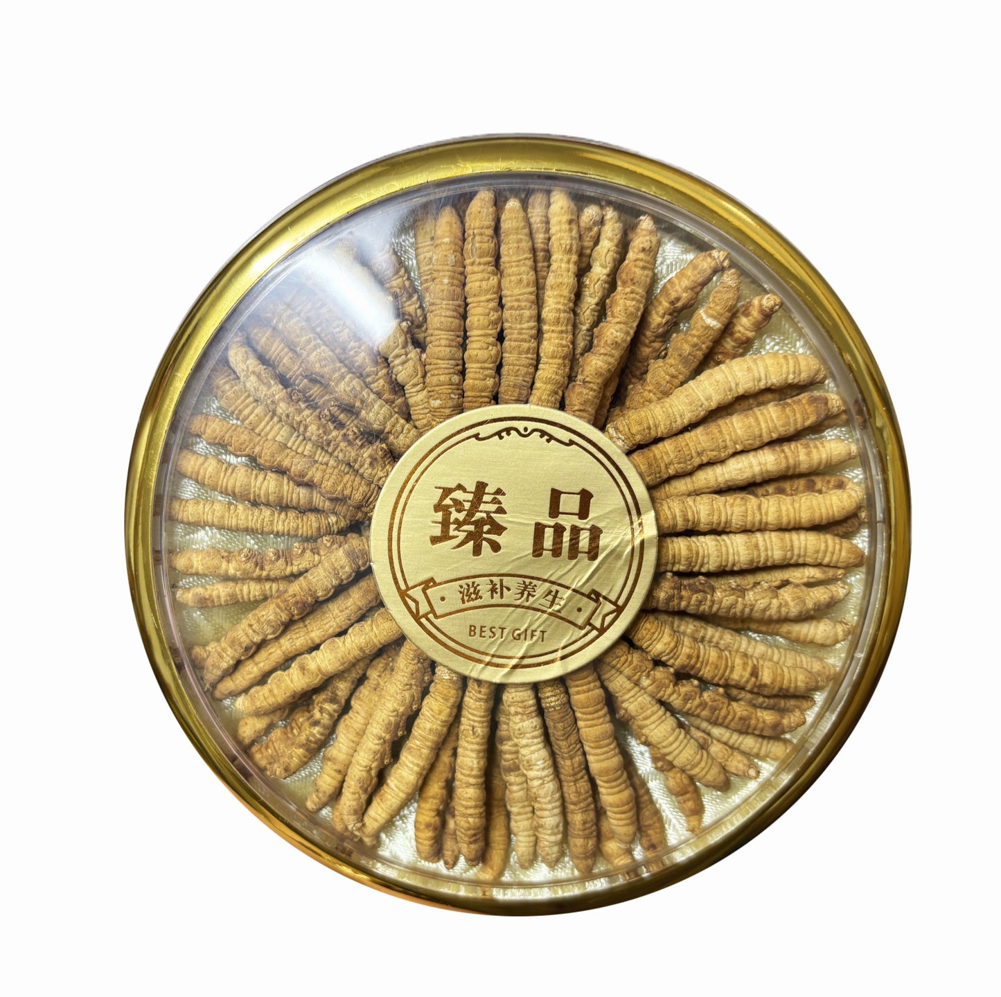 Tibet Dried Wild Cordyceps Large Size