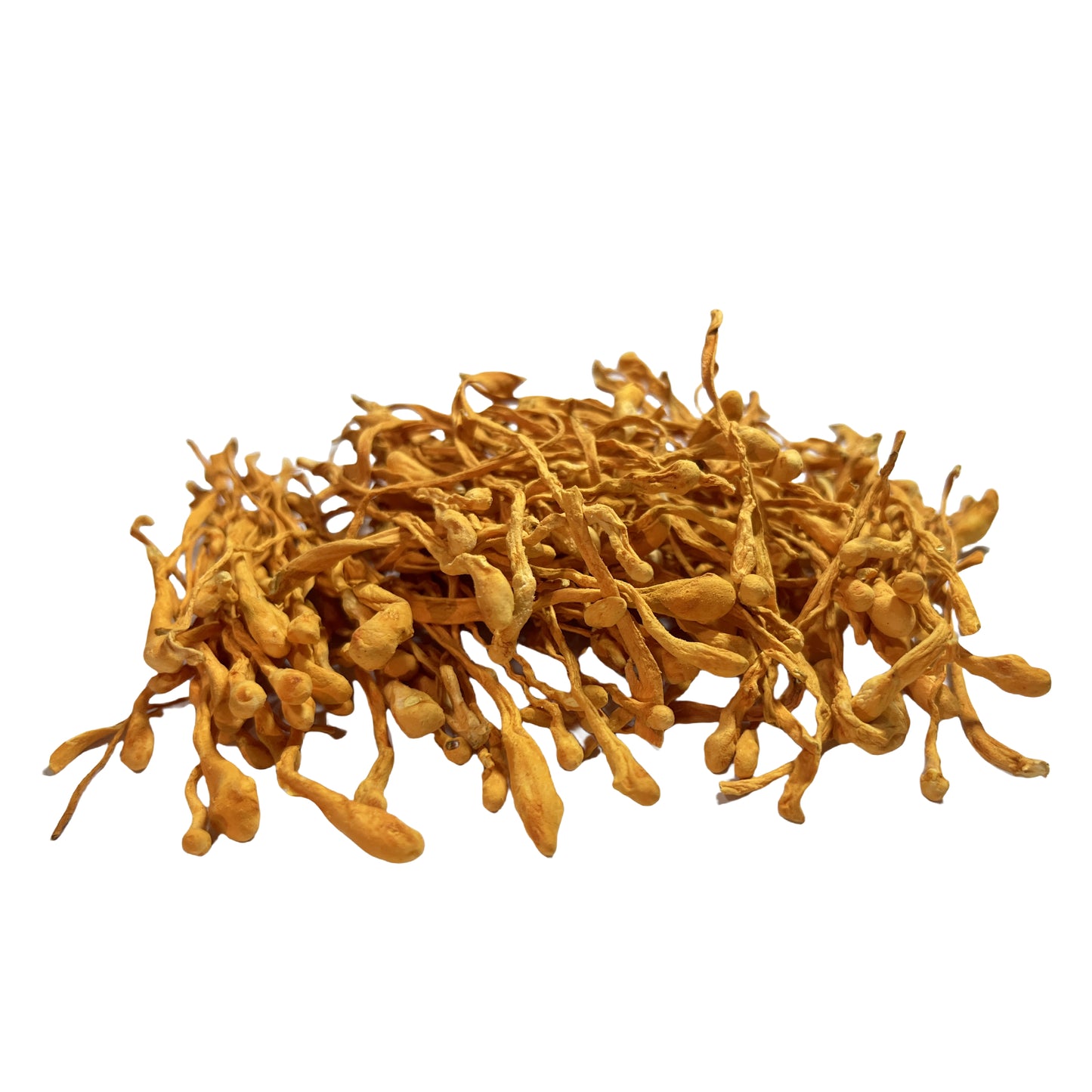 Dual Extract Cordyceps Mushroom Extract Powder 20% Beta Glucan / Pesticide Residue Free