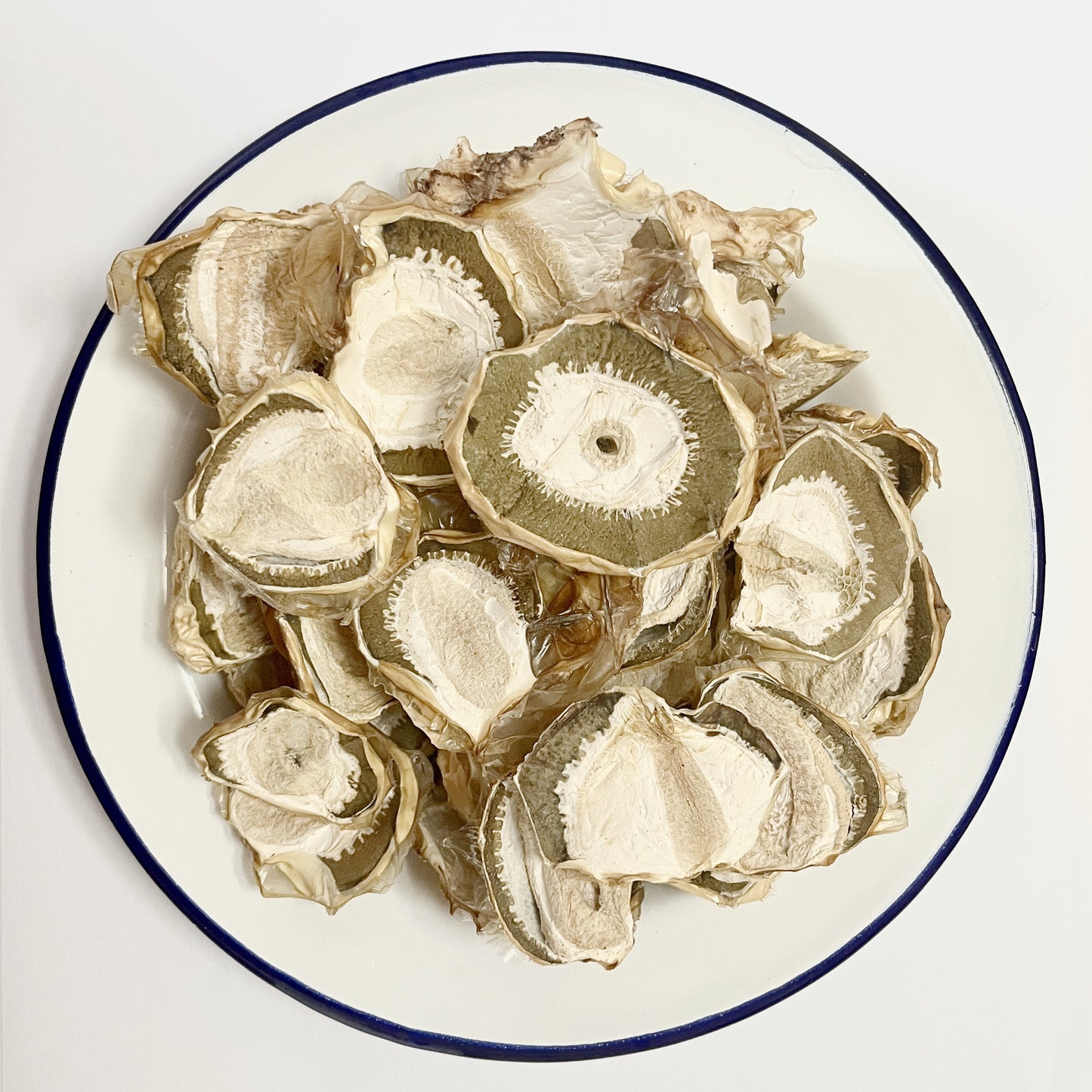 Dried Phallus Impudicus Egg Mushrooms. Veselka , Stinkhorn,Dried Witch Eggs Young Mushroom