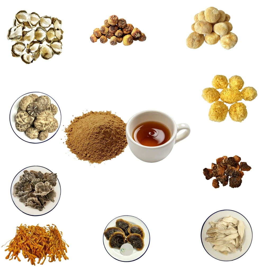 10 in 1 Mushroom Supplement Powder 20% Beta Glucan / Pesticide Residue Free
