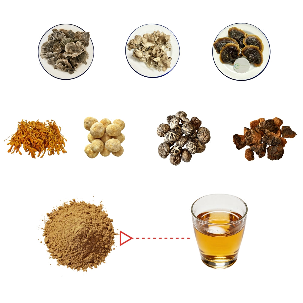 7 in 1 Mushroom Supplement Powder 20% Beta Glucan /Pesticide Residue Free