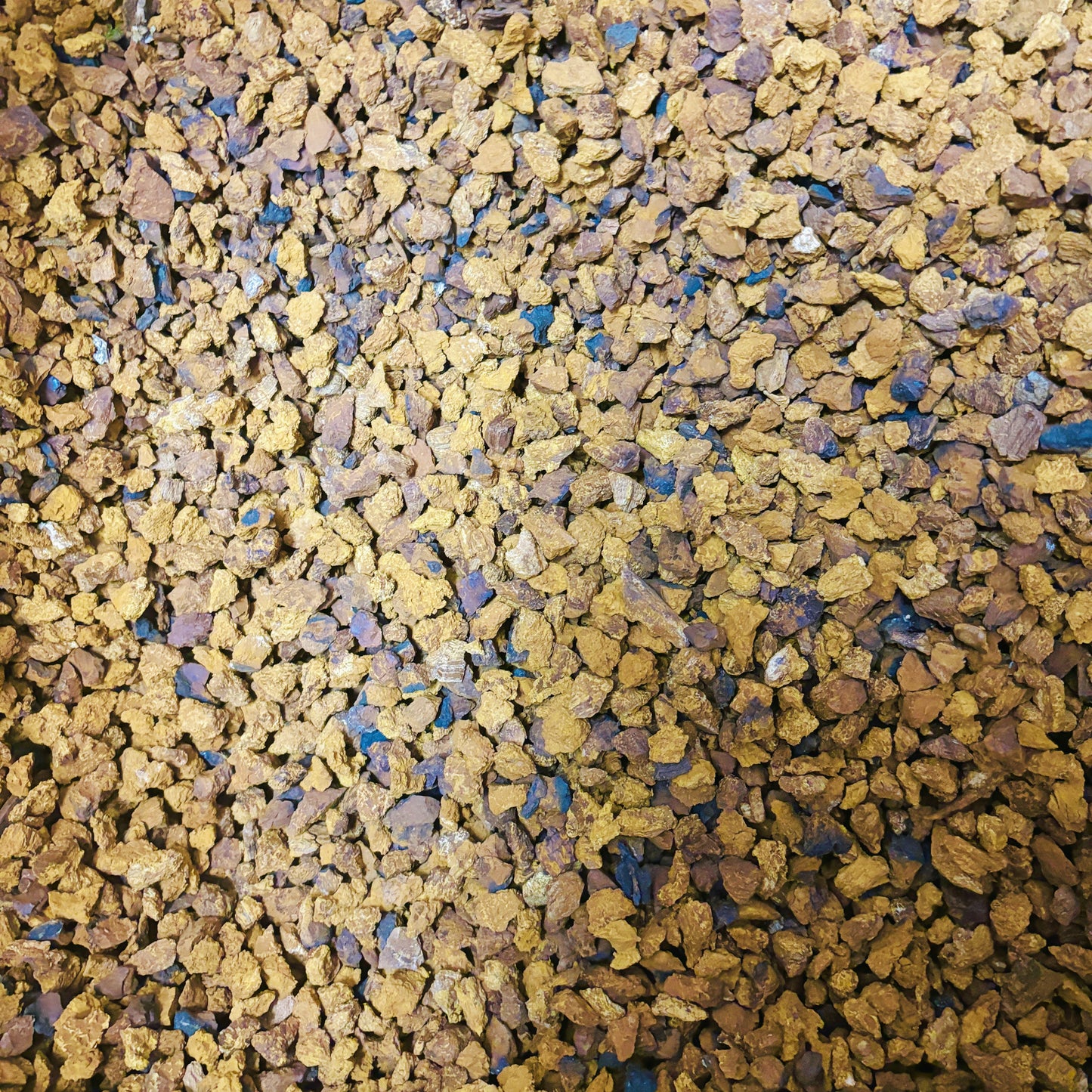 Dried Chaga Pieces & Chaga Herb Tea