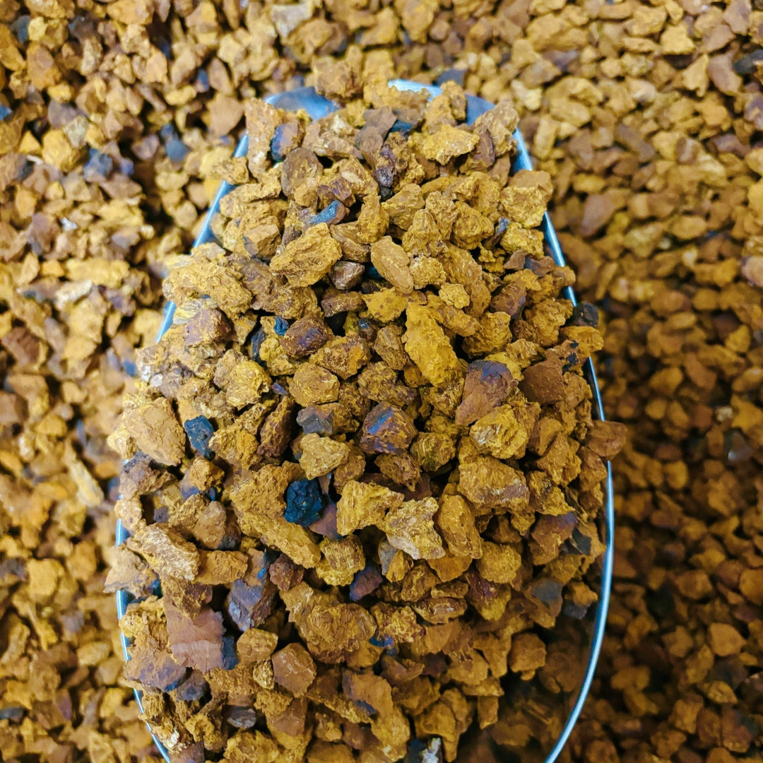 Dried Chaga Pieces & Chaga Herb Tea