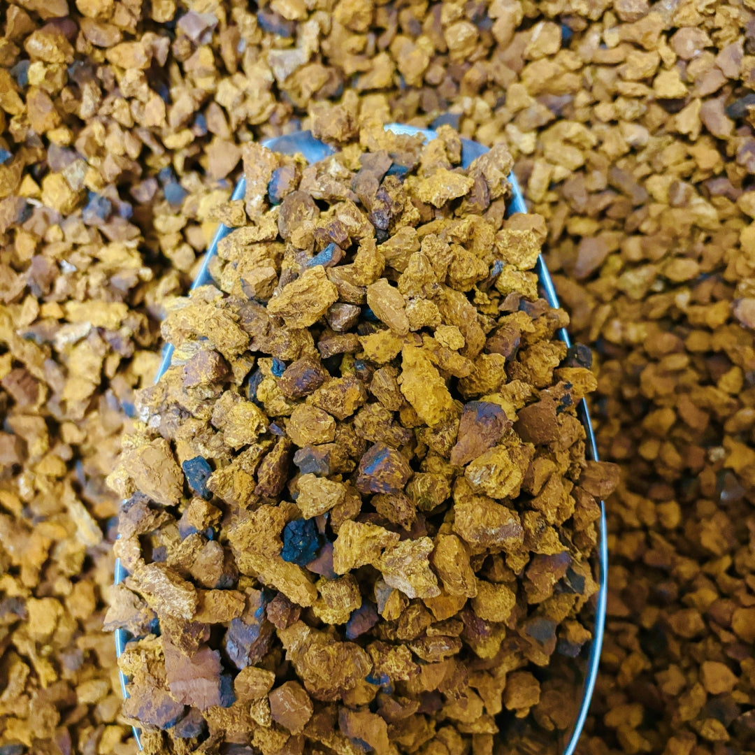 Dried Chaga Pieces & Chaga Herb Tea