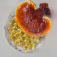 100% Shell Broken Reishi Spore oil softgels 500mg ,40% Triterpenes