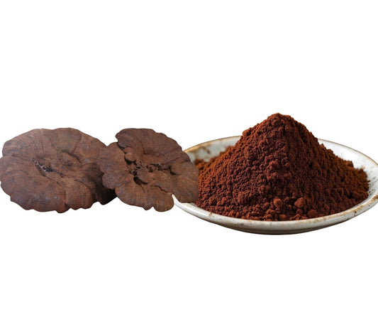 Reishi spore powder Ling Zhi Herbs
