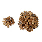 Medical Food Dried Reishi Ganoderma Mushroom Cubes