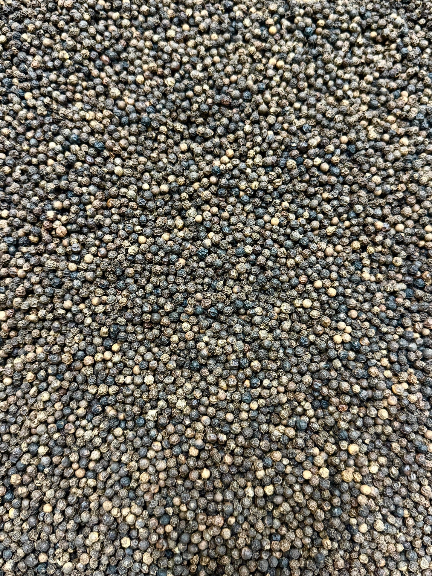 Dried Whole Black pepper seeds Peppercorns