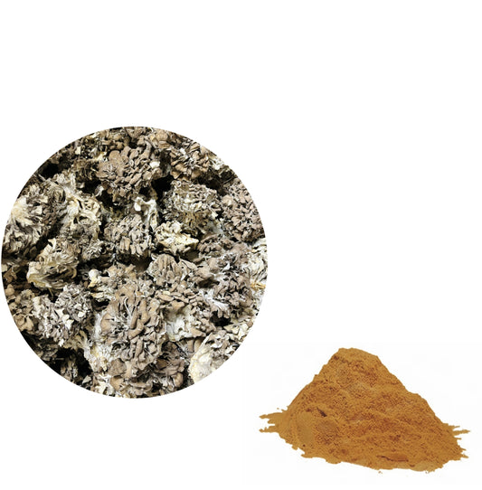 Maitake Mushroom Extract Powder 30% Polysaccharides