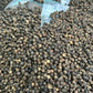 Dried Whole Black pepper seeds Peppercorns