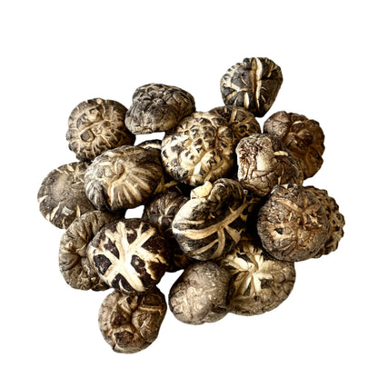 Healthlife Supplement Dried Shiitake mushroom
