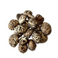 Healthlife Supplement Dried Shiitake mushroom