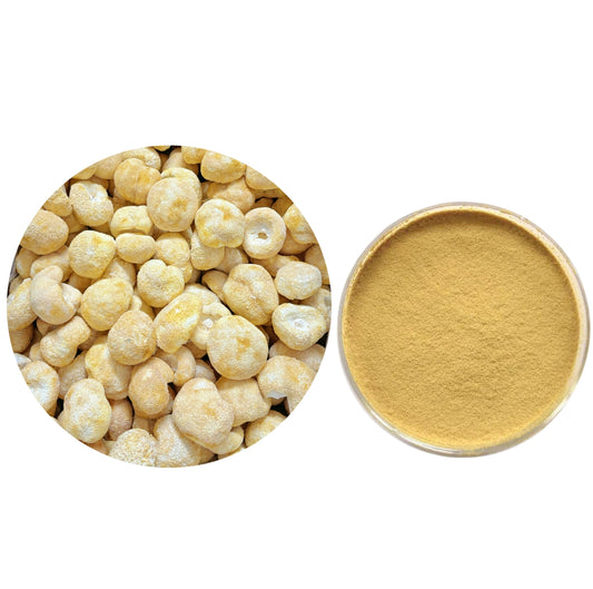 Lion's mane mushroom extract Powder Erinacines 3%