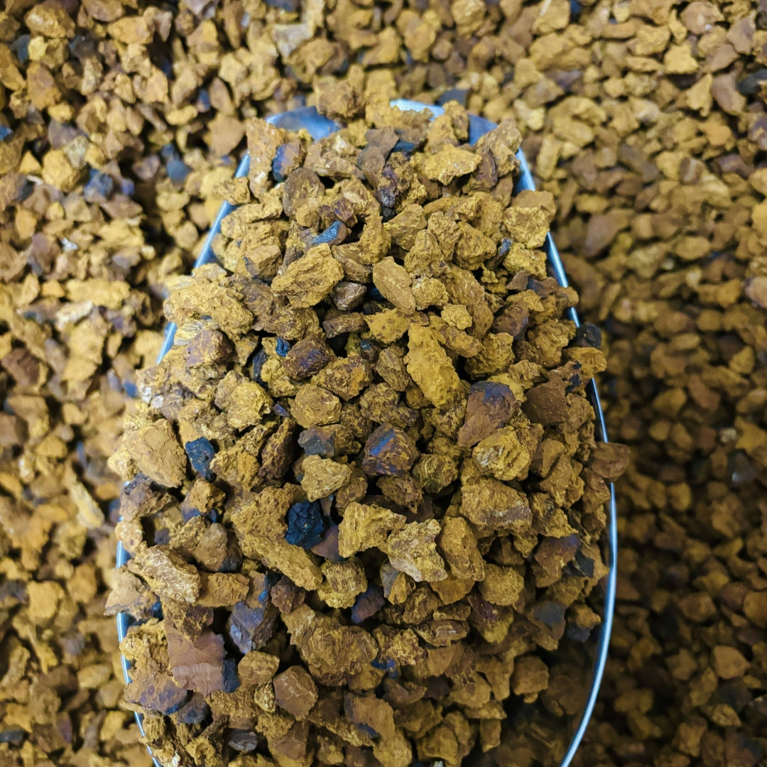 Dried Chaga Pieces & Chaga Herb Tea