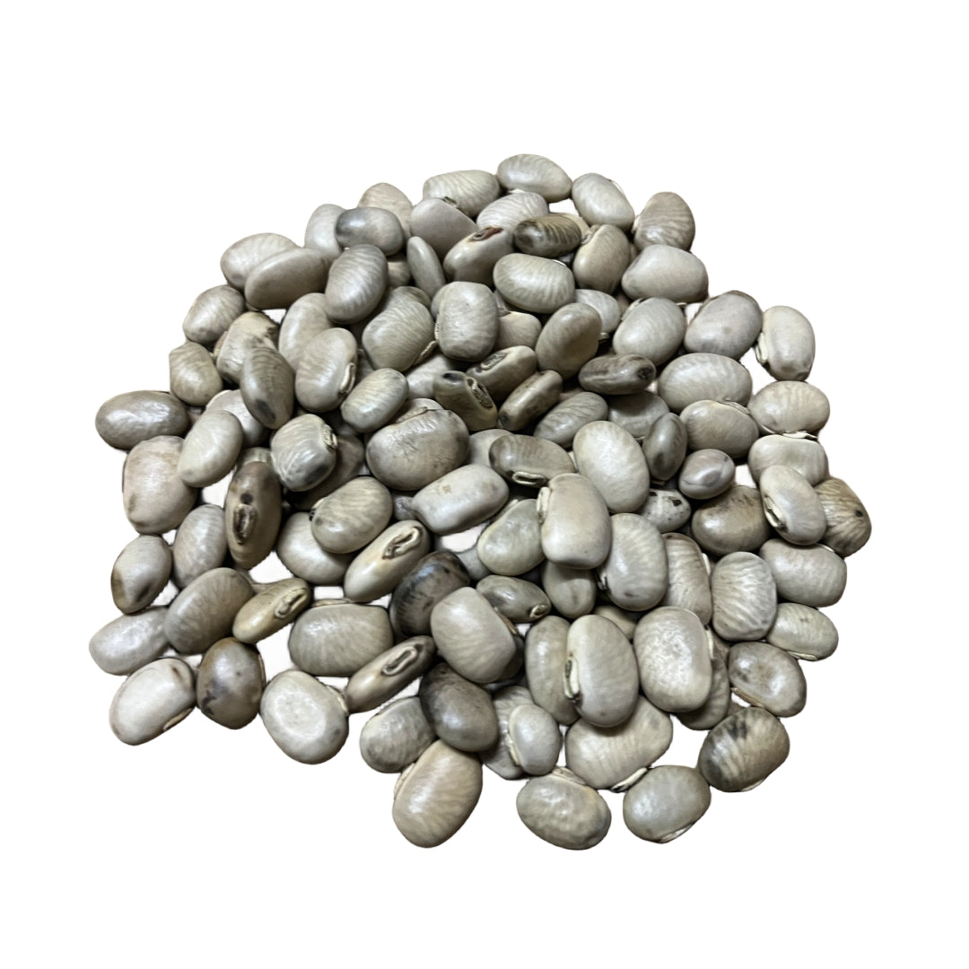 Mucuna pruriens , velvet bean or cowhage