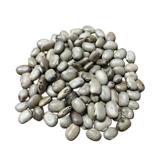 Mucuna pruriens , velvet bean or cowhage