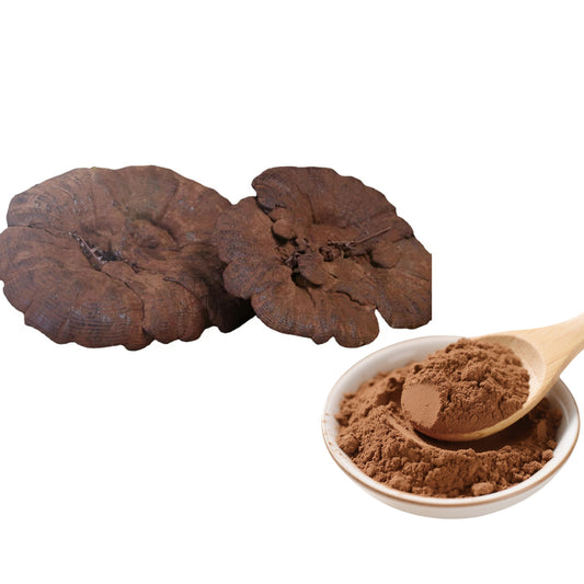 Ganoderma Lucidum Powder & Reishi Pure Powder