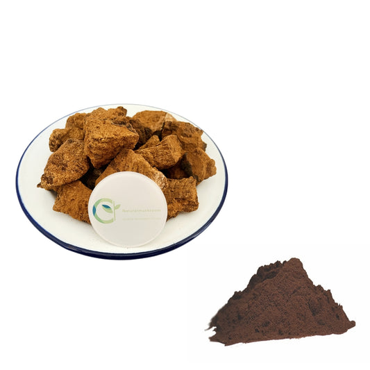 Wild Chaga Mushroom Extract Powder / Dual Extract Pesticide Residue Free