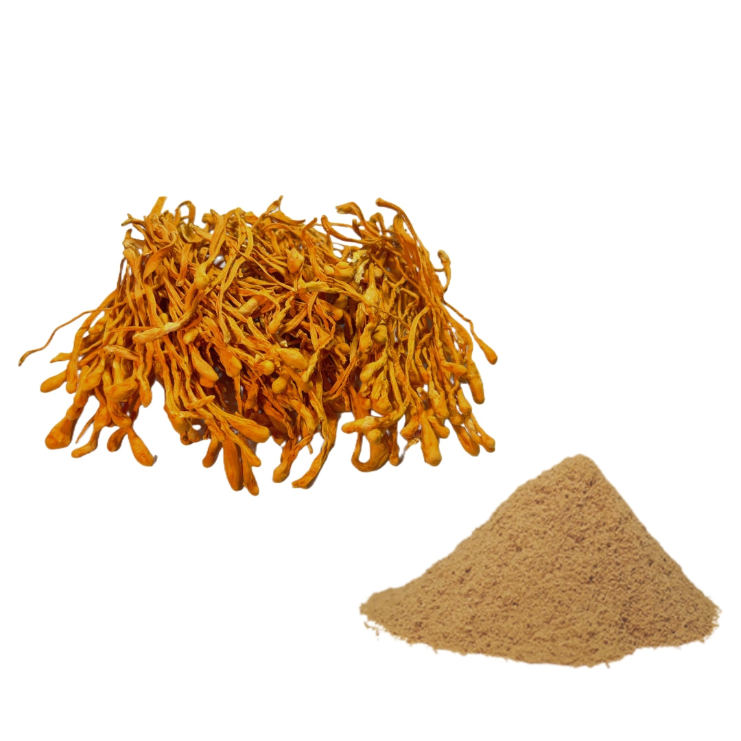 Dual Extract Cordyceps Mushroom Extract Powder 20% Beta Glucan / Pesticide Residue Free