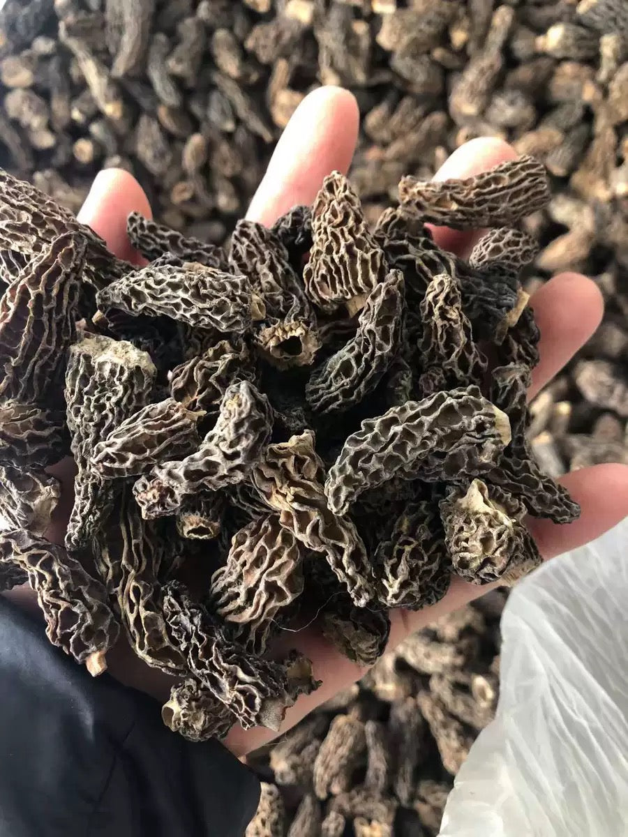 3-5 cm Wild Dried Morel Mushroom Without Stem, Dried Morchella Conica