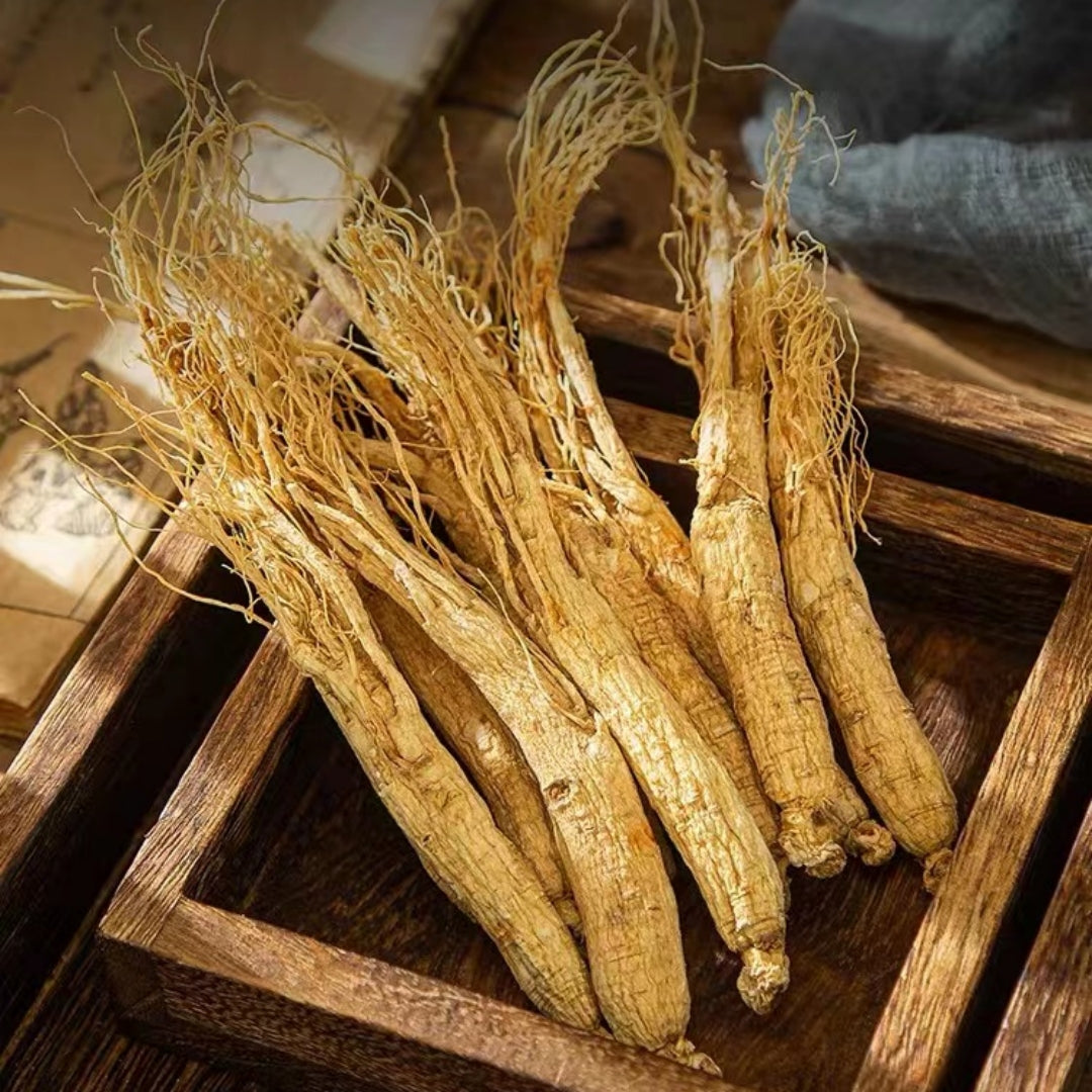 6 Years Old Dried Panax Ginseng Whole Body