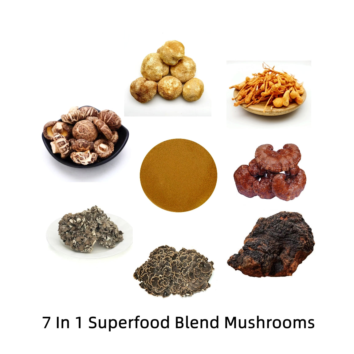 7 in 1 Mushroom Supplement Powder 20% Beta Glucan /Pesticide Residue Free