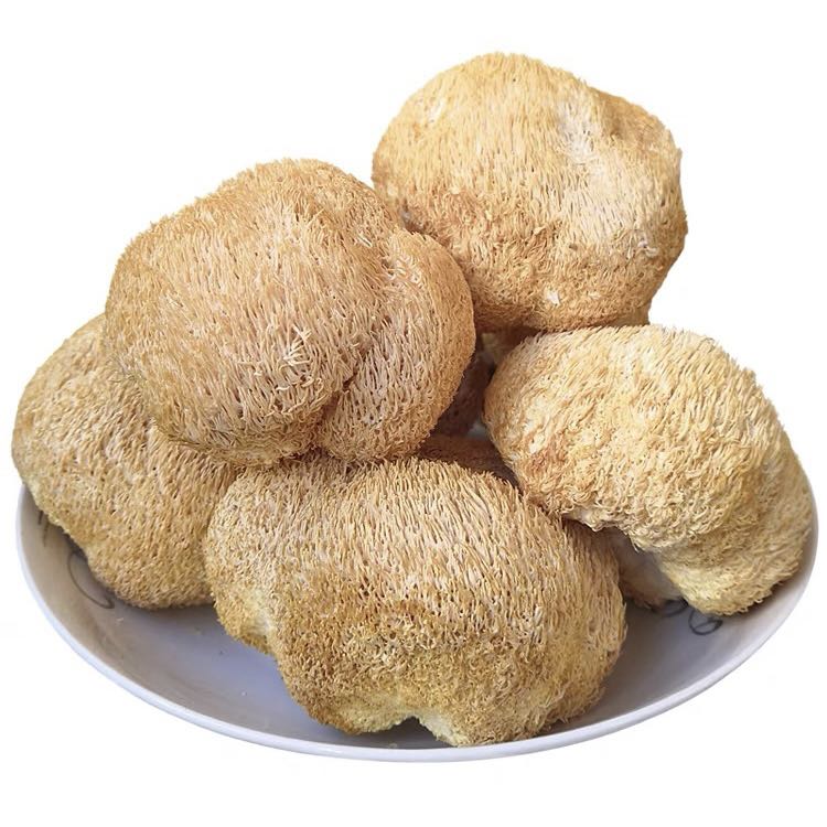 100% Pure Lion's Mane Mushroom Powder & Hericium Erinaceus Mushroom Powder