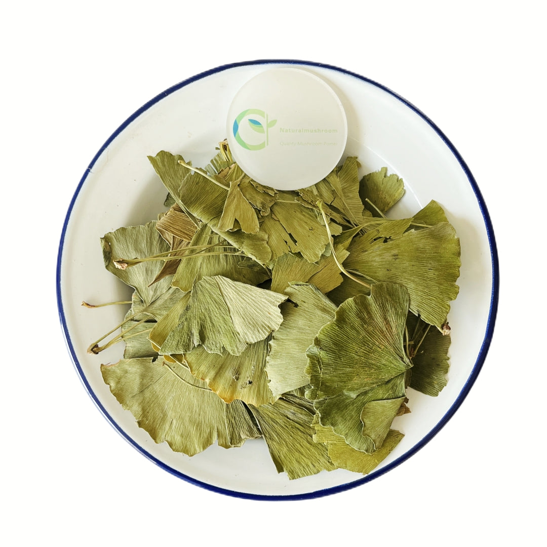 Herbs Ginkgo Biloba Leaves