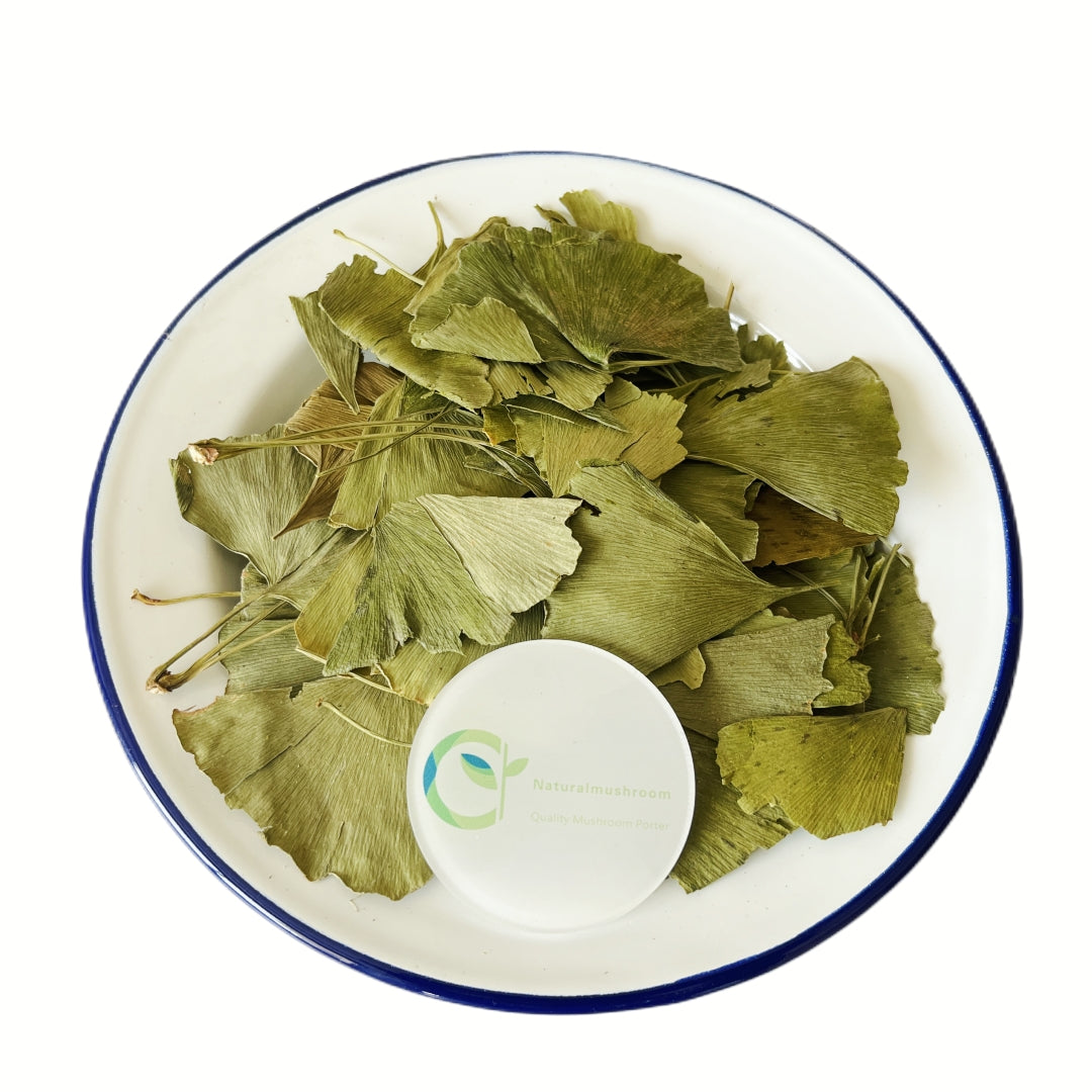 Herbs Ginkgo Biloba Leaves