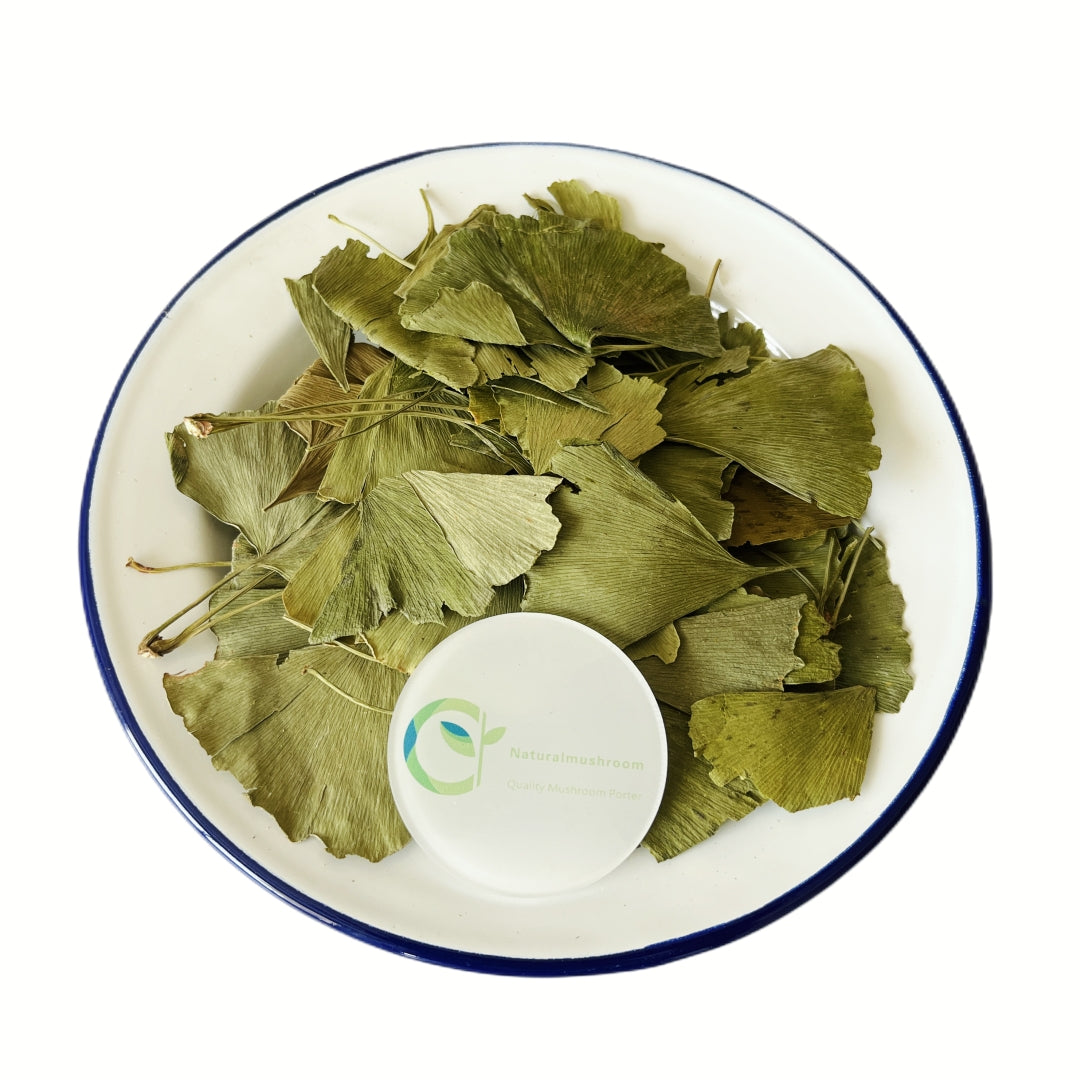 Herbs Ginkgo Biloba Leaves