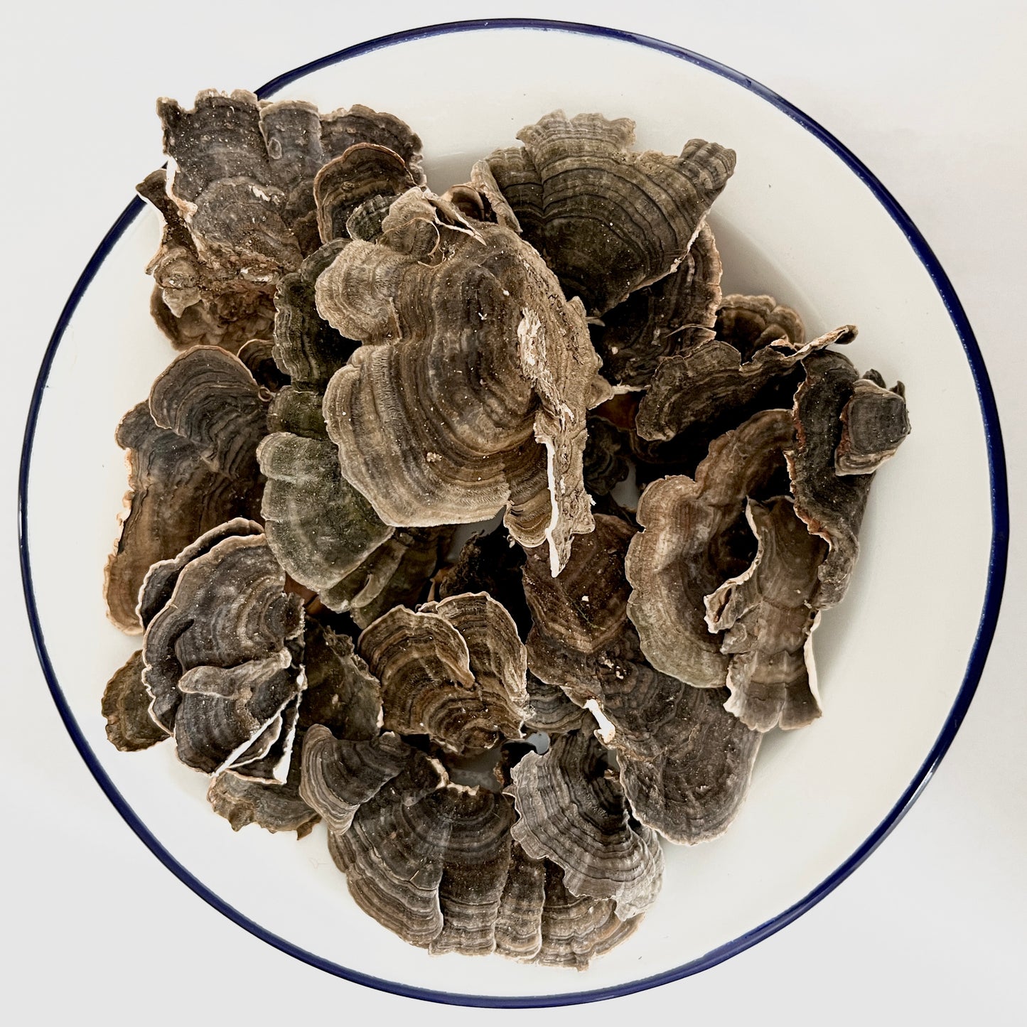 Dried Wild Turkey Tail Mushroom