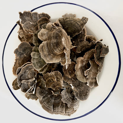 Dried  Turkey Tail Mushroom