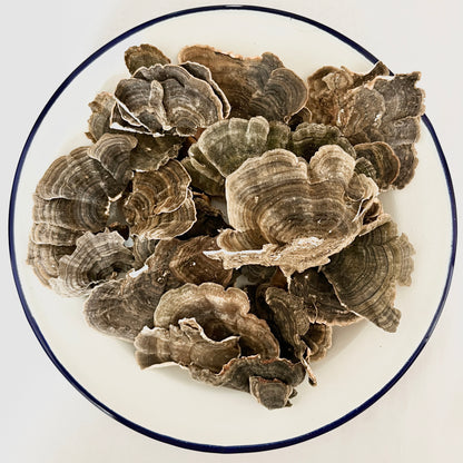 Dried Wild Turkey Tail Mushroom