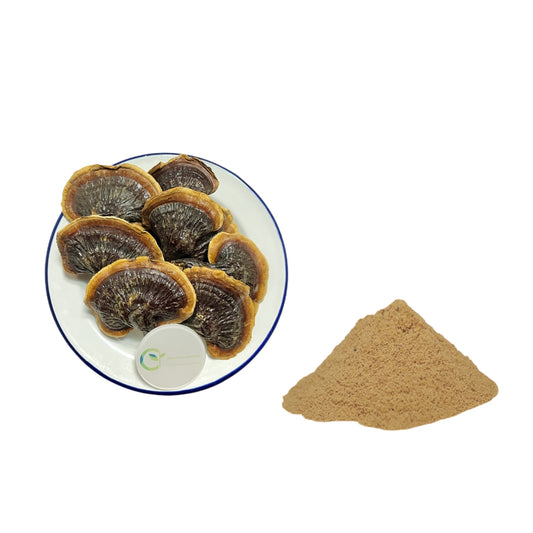 Dual Extract -Reishi Mushroom & Ganoderma Extract Powder 20% Beta Glucan / Pesticide Residue Free