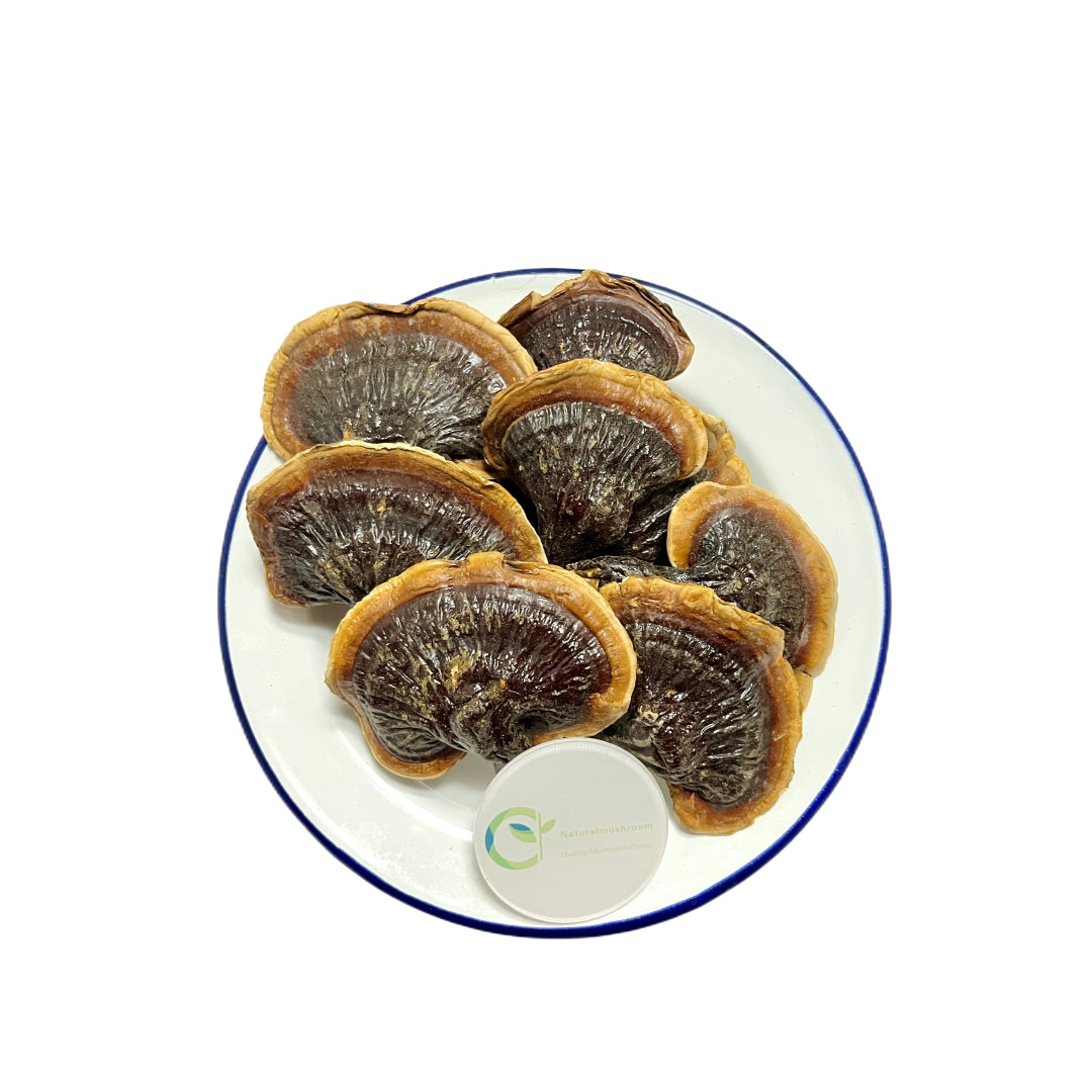 Dried Ganoderma Lucidum Mushroom & Wayside Golden Reishi