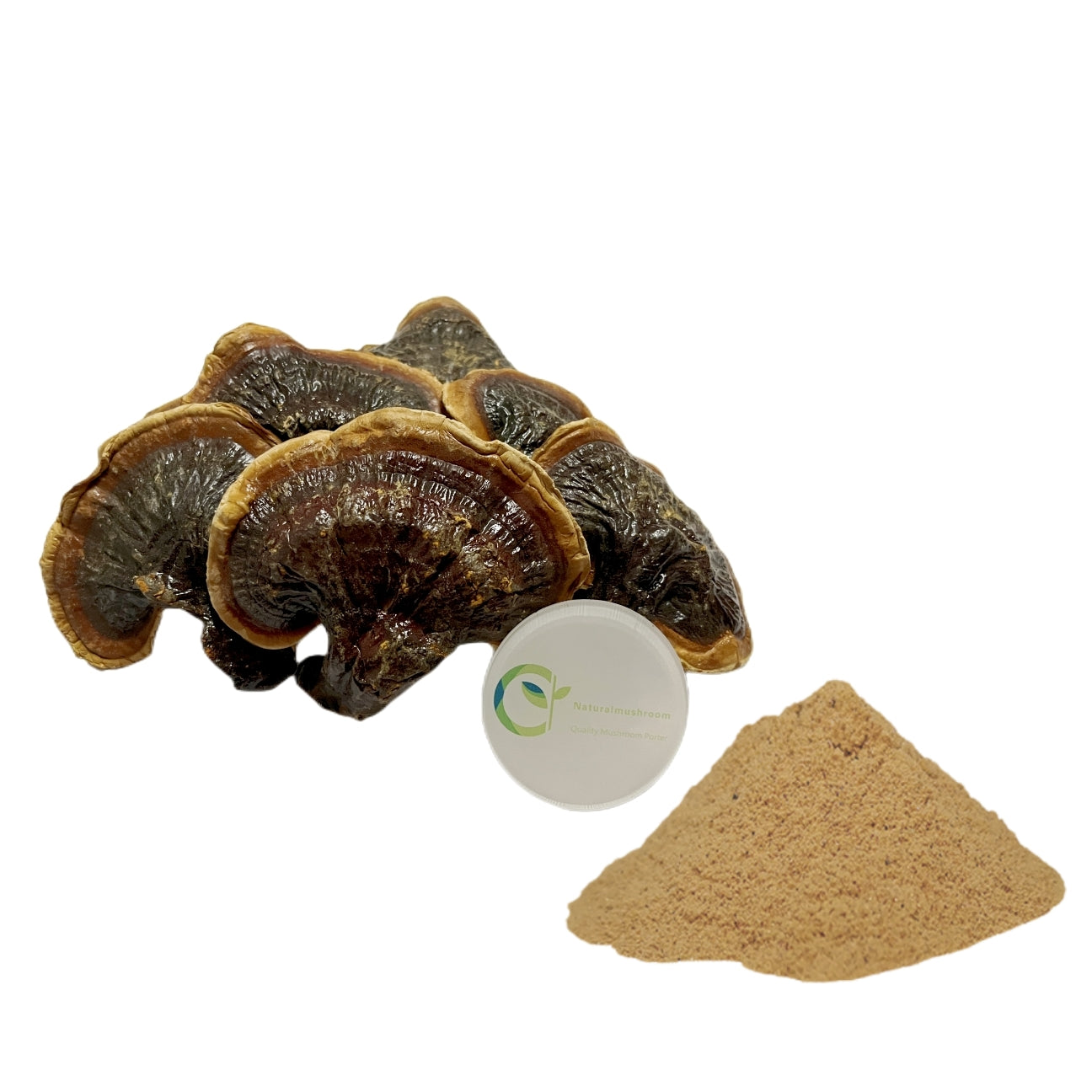 Dual Extract -Reishi Mushroom & Ganoderma Extract Powder 20% Beta Glucan / Pesticide Residue Free