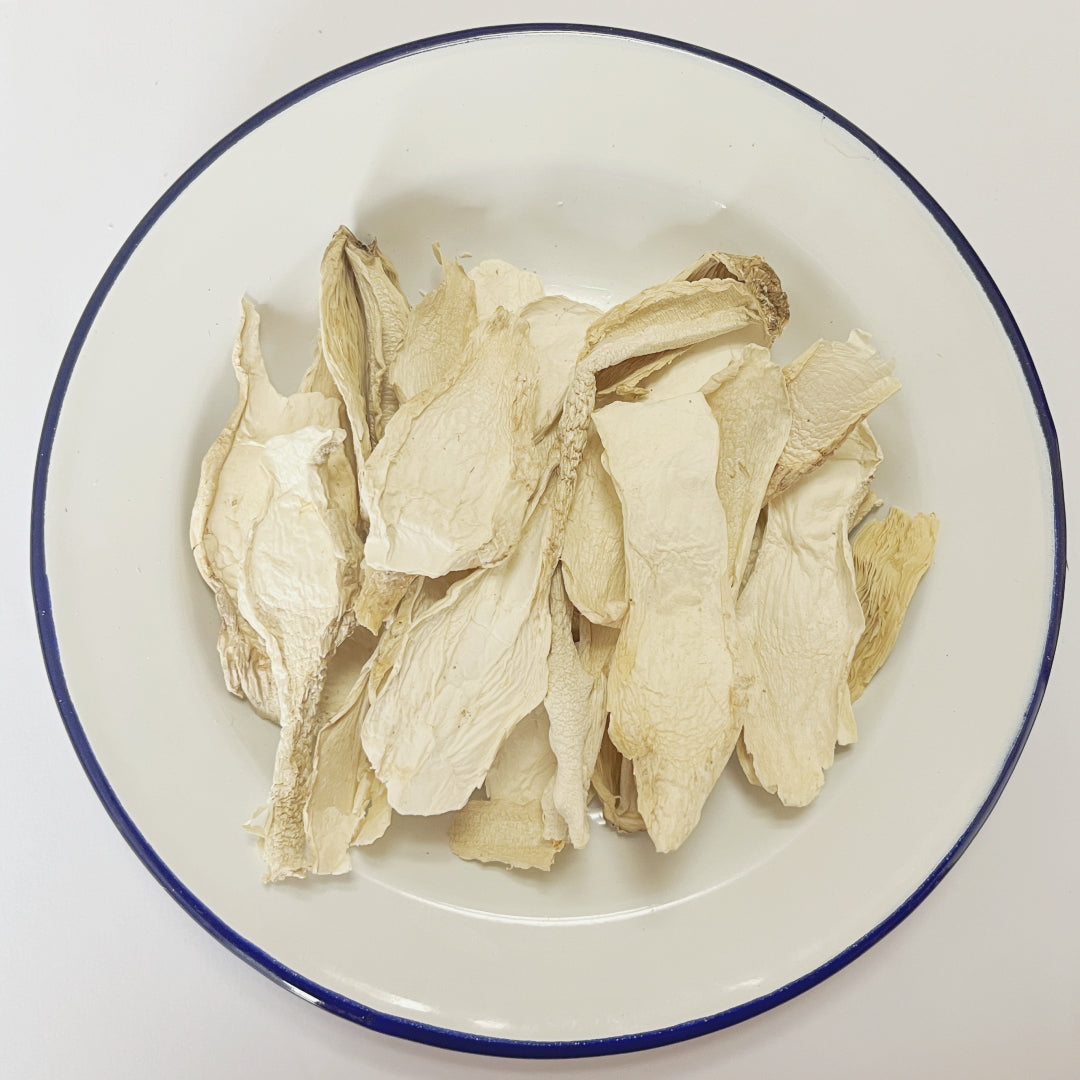 Dried Coprinus Comatus Mushroom