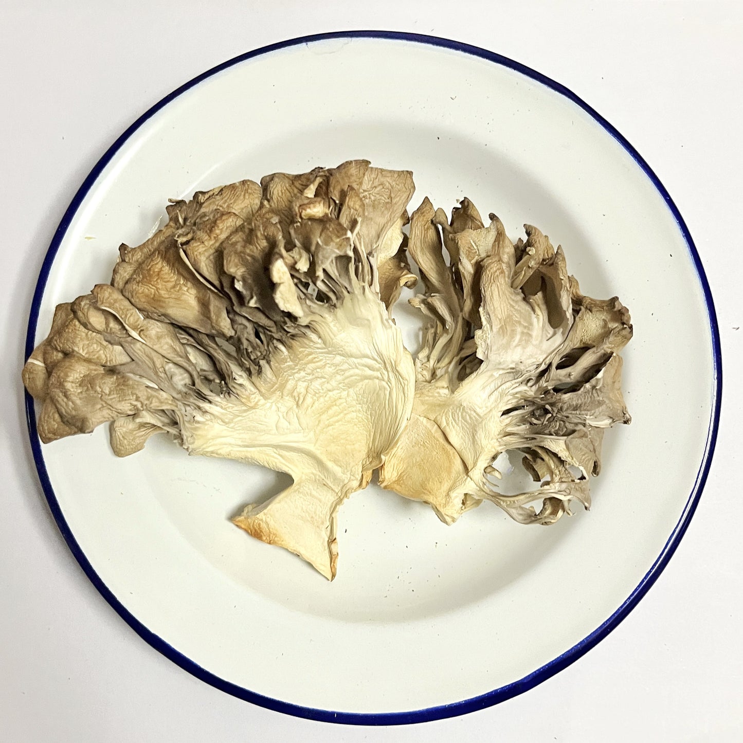 Dried Maitake Mushrooms