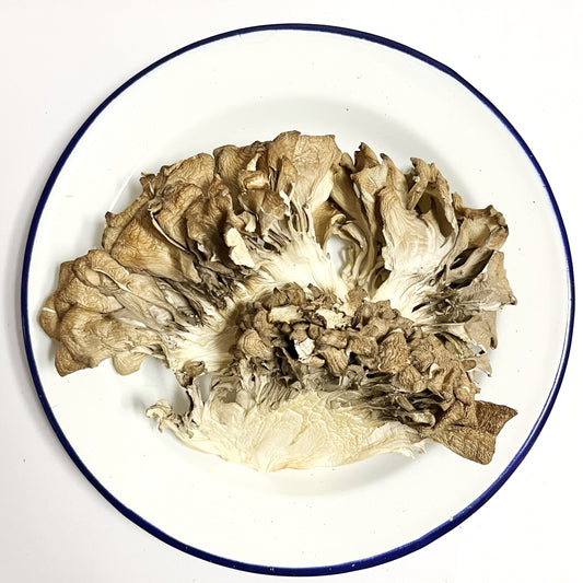 Dried Maitake Mushrooms