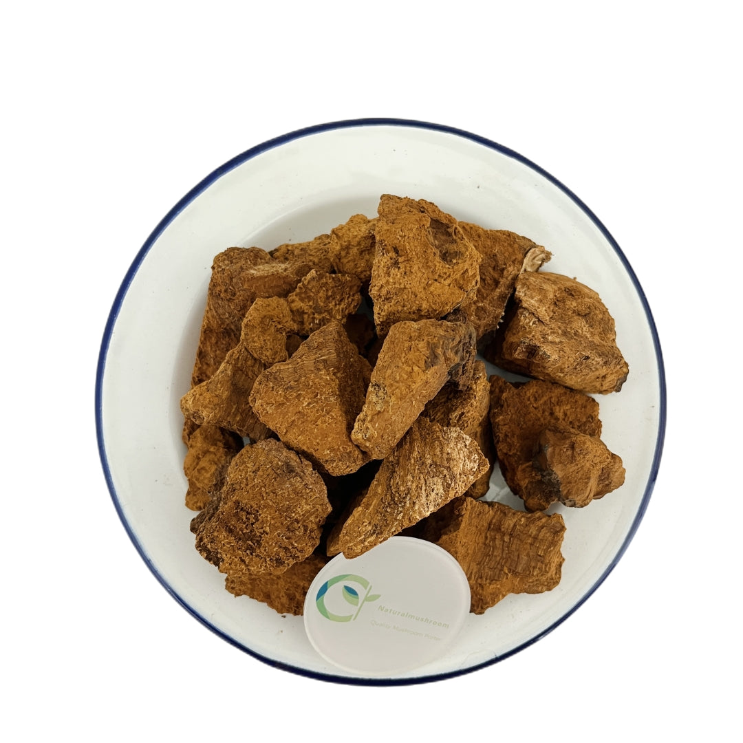 Dried Chaga Chunks & Chaga Mushroom Tea