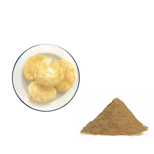 Hercicium Erinaceus Lion's Mane Mushroom Extract Powder 30% Beta Glucan Pesticide Residue Free