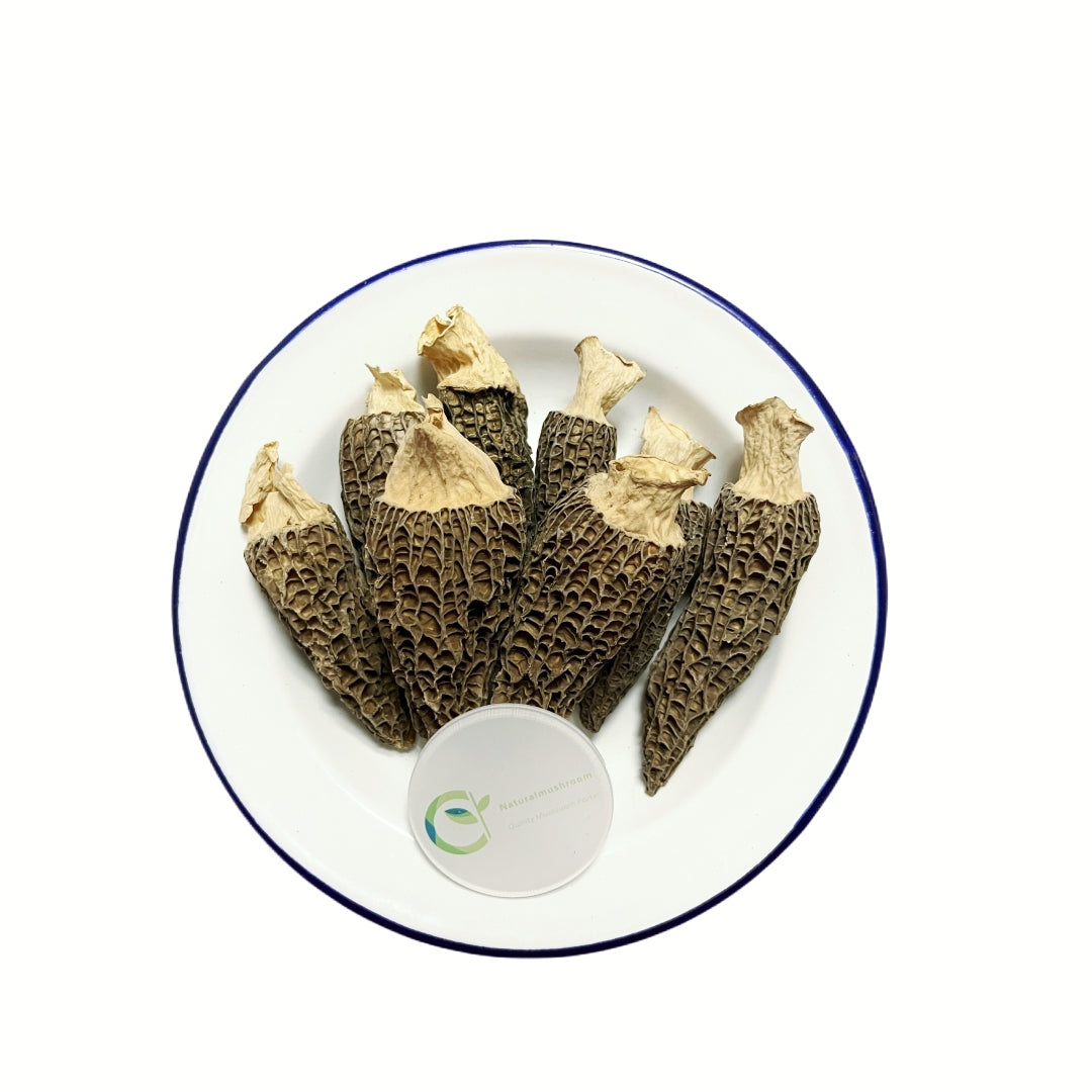 5-8 cm Natural Dried Morel Mushroom , Dried Morchella Conica