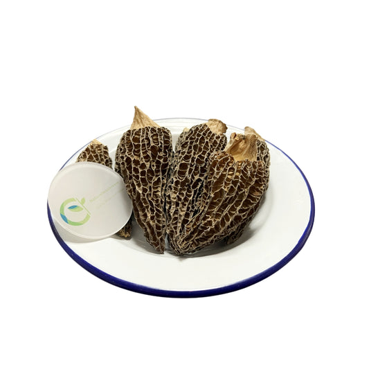 5-8 cm Natural Dried Morel Mushroom , Dried Morchella Conica