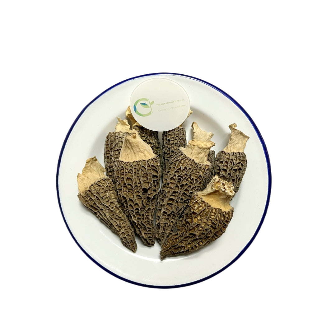 5-8 cm Natural Dried Morel Mushroom , Dried Morchella Conica