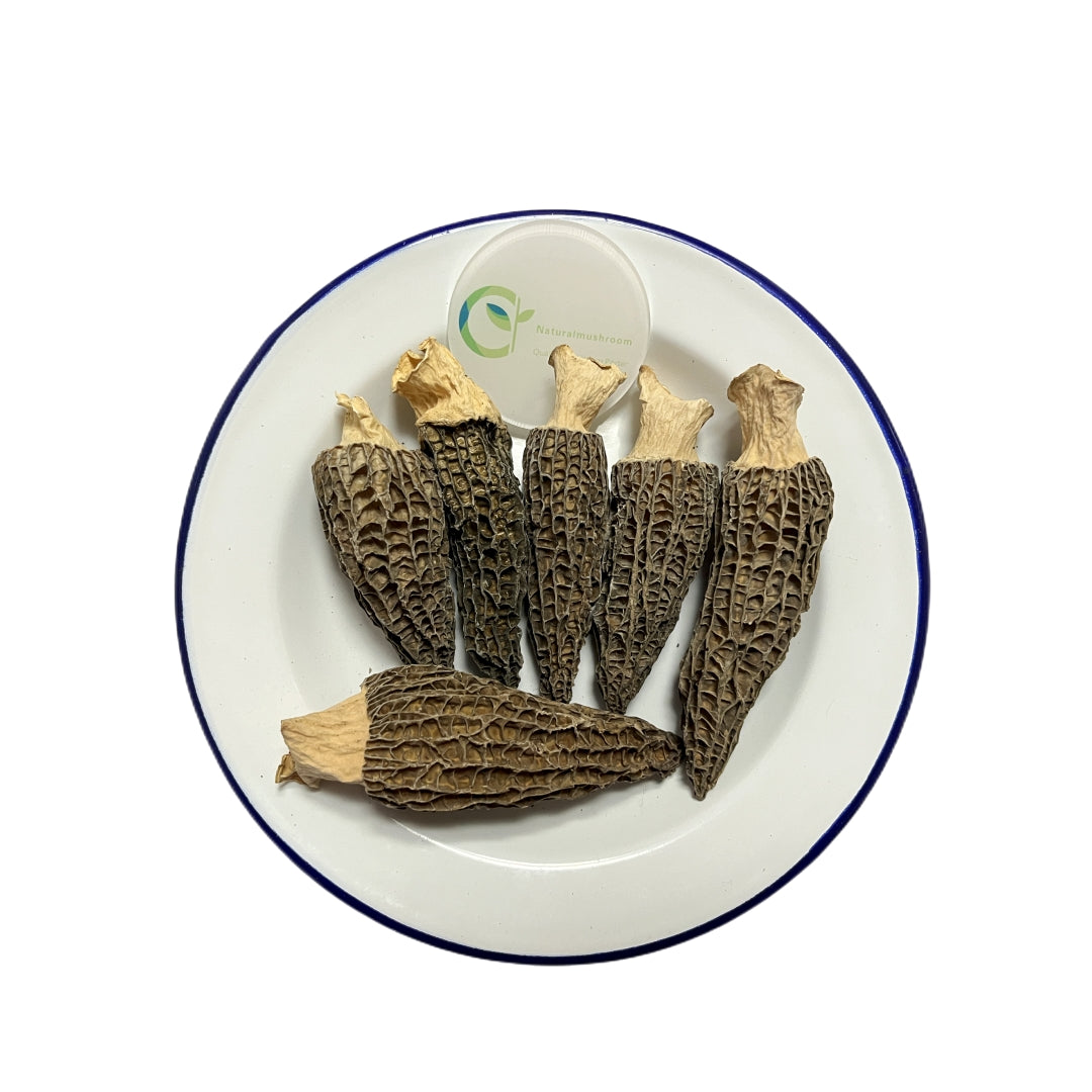 5-8 cm Natural Dried Morel Mushroom , Dried Morchella Conica